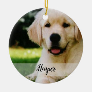 Faites votre propre ornement pour animaux de compa