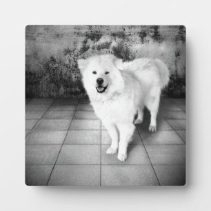 Faithful Love Plaque