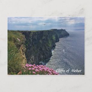 Falaises de Moher, Irlande, Fleurs, Carte postale