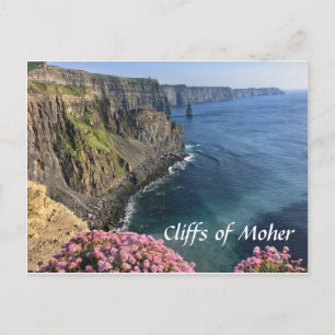 Falaises de Moher, Irlande, Fleurs, Carte postale