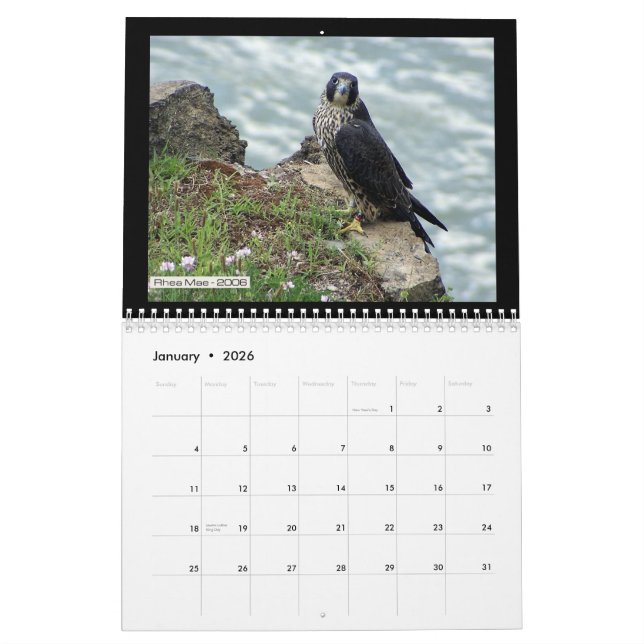 Falcons 2012 de Rochester dans le calendrier de (Jan 2026)