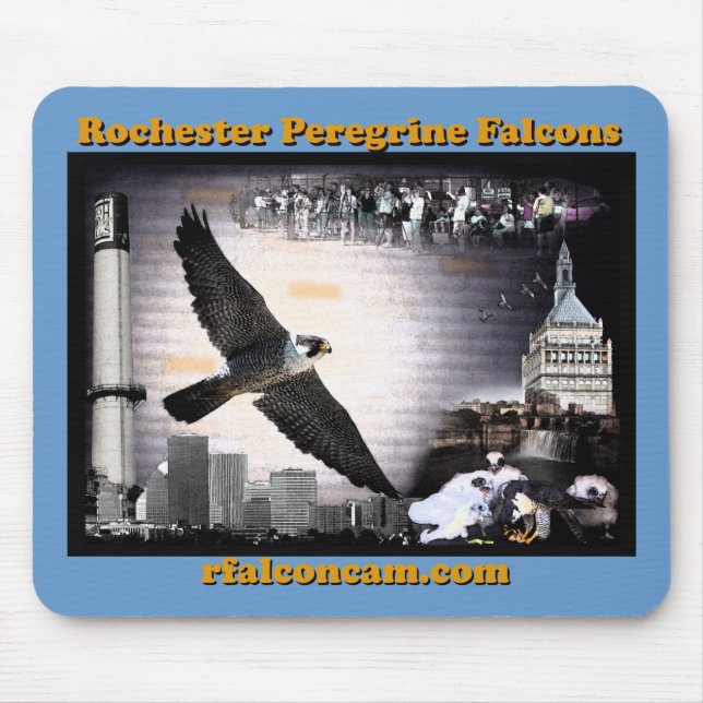 Falcons pérégrins de Rochester de tapis de souris (Devant)