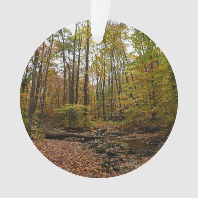 Fall Creek à Laurel Hill State Park Pennsylvania (devant)