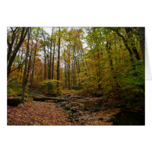 Fall Creek à Laurel Hill State Park Pennsylvanie