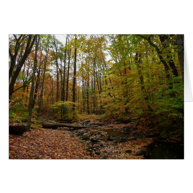 Fall Creek à Laurel Hill State Park Pennsylvanie (Devant horizontal)