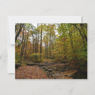 Fall Creek à Laurel Hill State Park Pennsylvanie