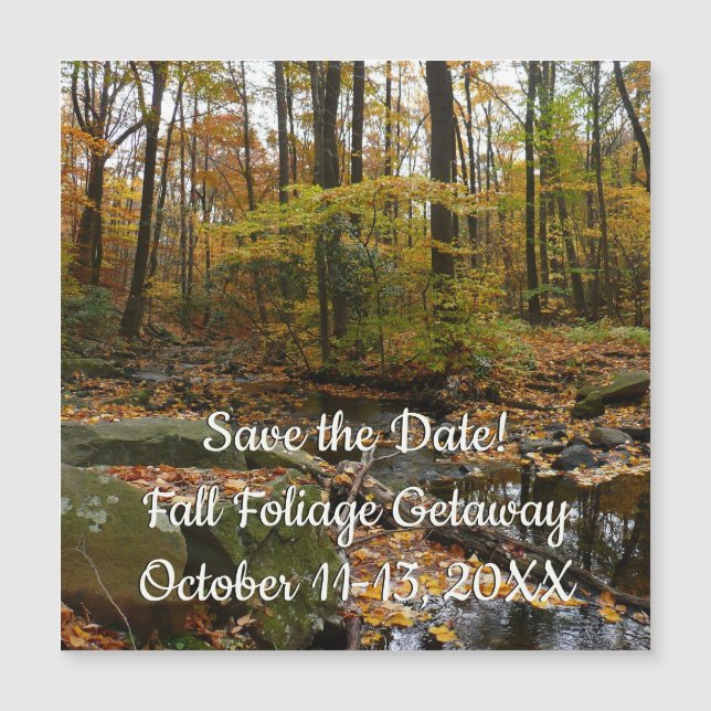 Fall Creek avec réflexion à Laurel Hill Park (Devant)