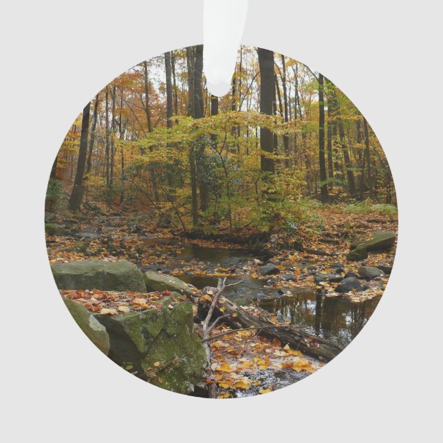 Fall Creek avec réflexion à Laurel Hill Park (devant)