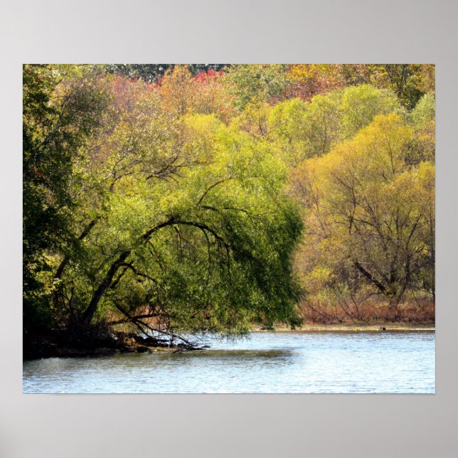 Fall Leaves - Affiche de beauté d'automne (Devant)