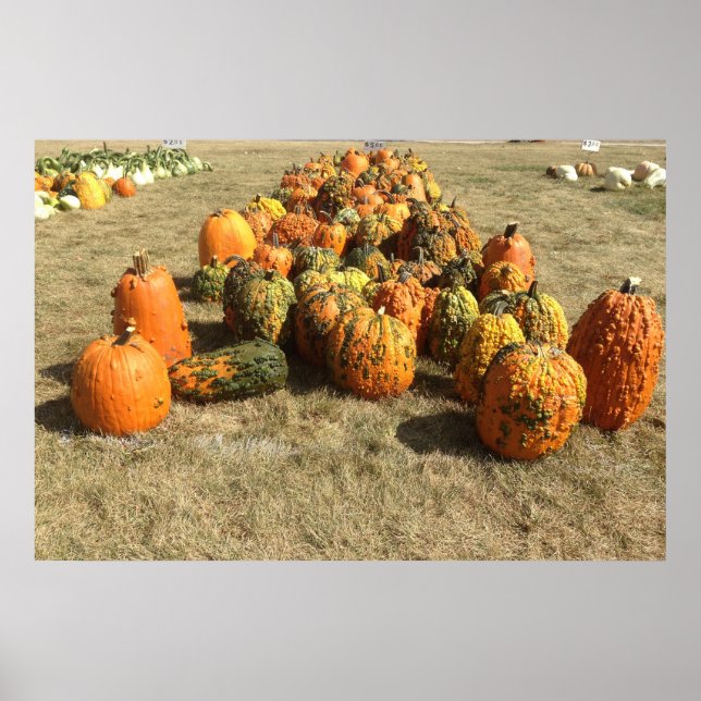 Fall Pumpkin Sale Poster (Devant)