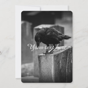 Fallen Cemetery Crow