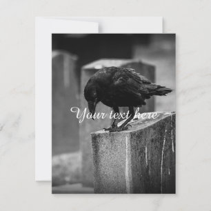 Fallen Cemetery Crow