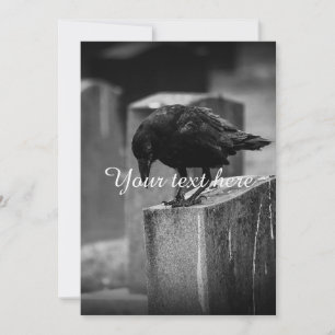 Fallen Cemetery Crow