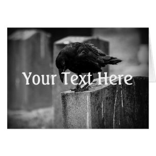 Fallen Cemetery Crow