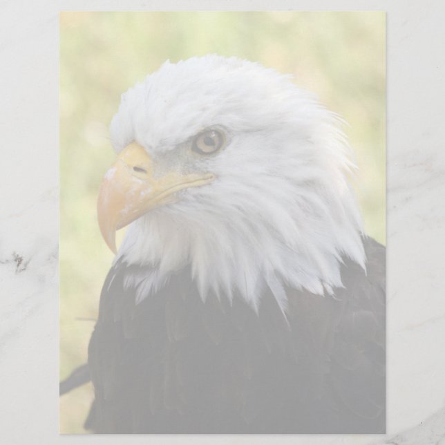 Falln Bald Eagle Liberty (Devant)