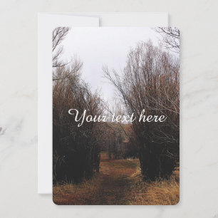 Falln Bannack Overgrowth