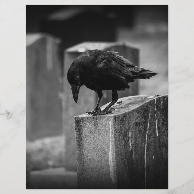 Falln Cemetery Crow (Devant)