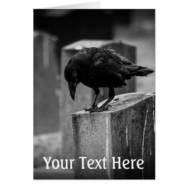 Falln Cemetery Crow (Devant)