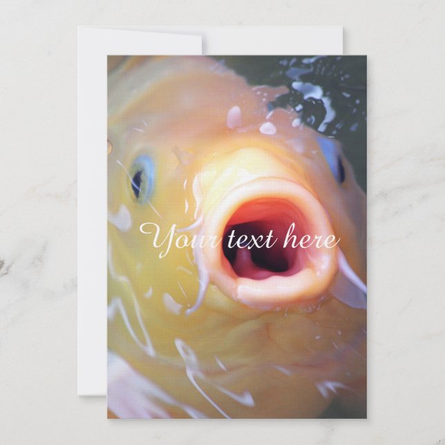 Falln chantant Ghost Koi (Devant)