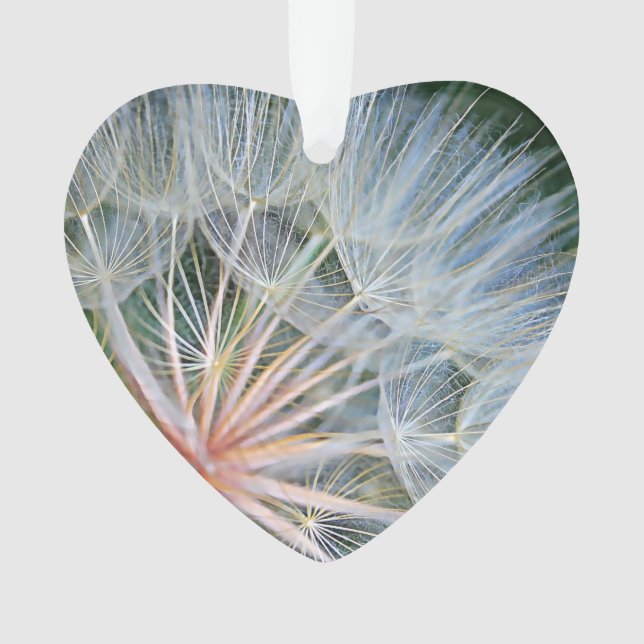 Falln de nouveaux voeux (devant)