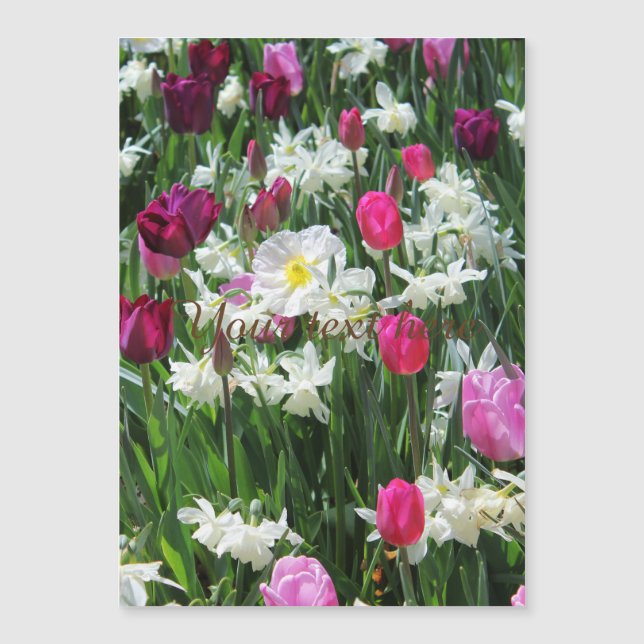 Falln Romantique Printemps matin (Devant)