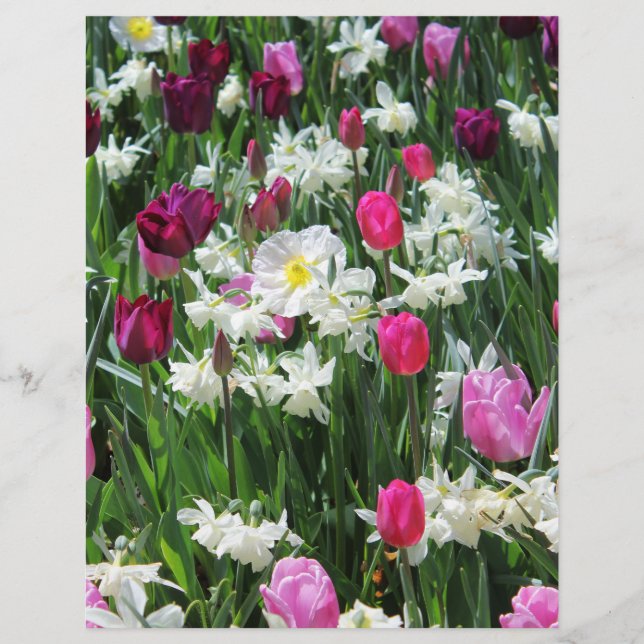 Falln Romantique Printemps matin (Devant)
