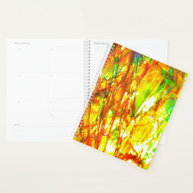 Falln Sunset Ammolite (Devant avec enveloppe)