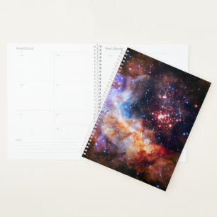 Falln Westerlund Starfield