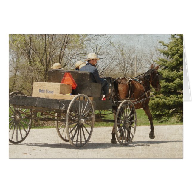Famille Amish - Accueil (Devant horizontal)