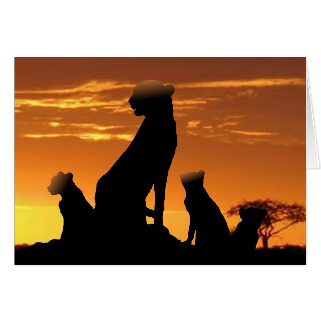 Famille Cheetah (Devant horizontal)