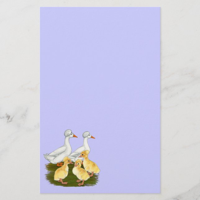 Famille de canards à crête (Devant)