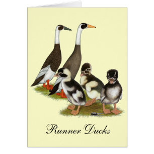 Famille de canards coureurs crayonnés émeraude