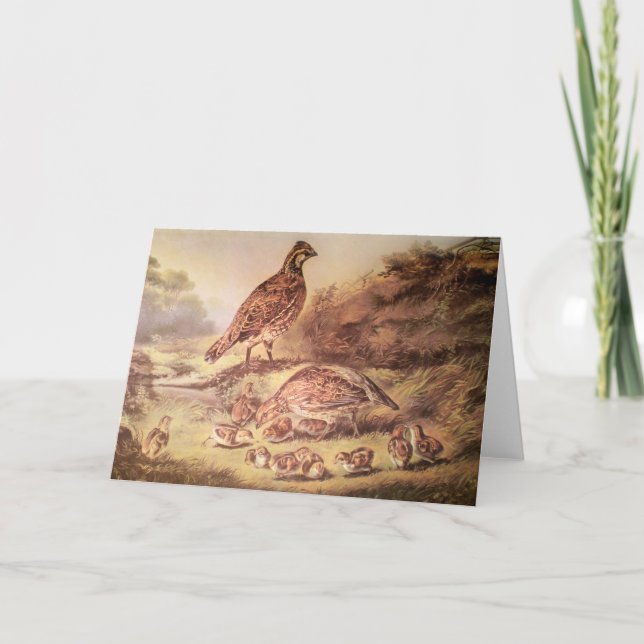 Famille de carte de voeux de cailles (Devant)