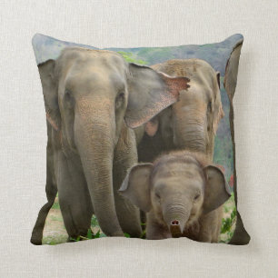 FAMILLE DE COUSSIN D'ÉLÉPHANTS