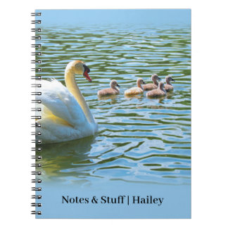 Famille de cygne sur le lac Bleu Carnet personnali