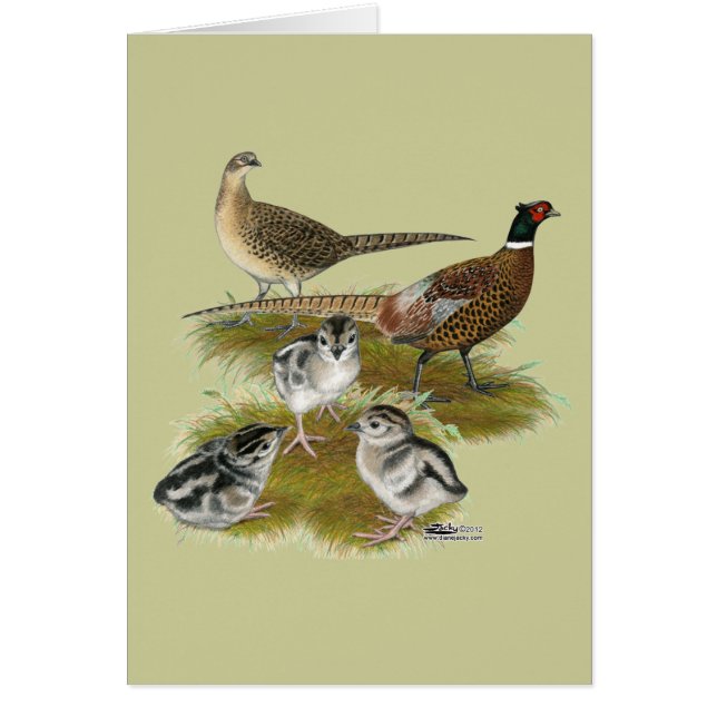 Famille de faisans à collier (Devant)