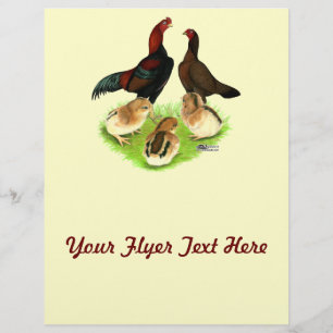 Famille de poulets Aseel Black Red