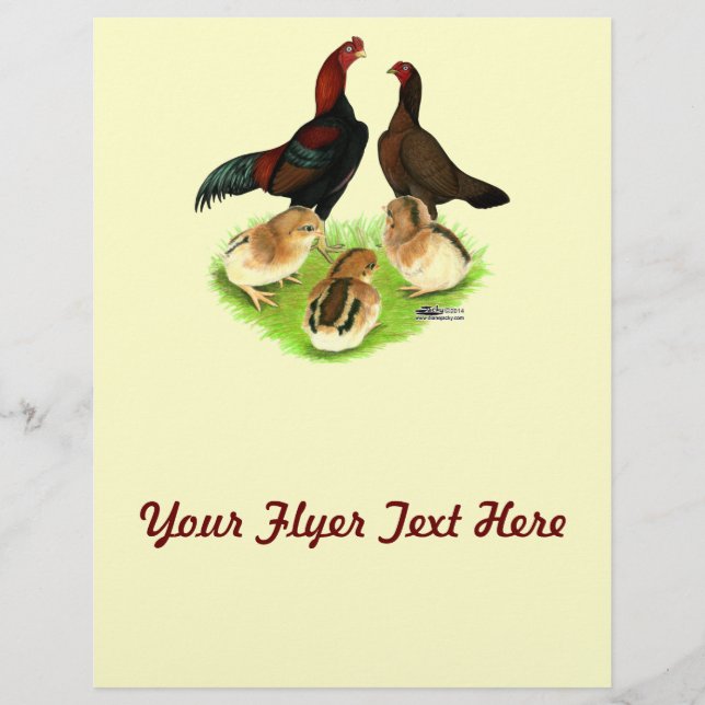 Famille de poulets Aseel Black Red (Devant)
