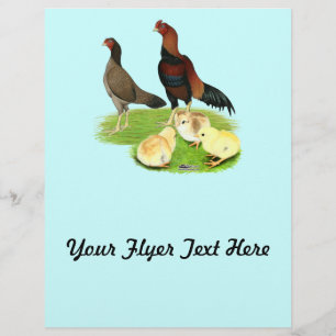 Famille de poulets Aseel Wheaten