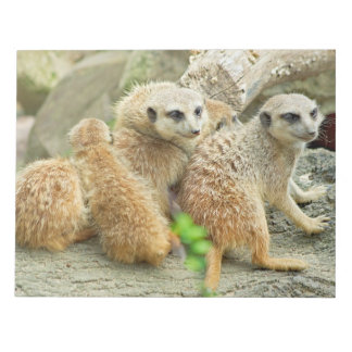 Famille de suricates - Bloc-notes