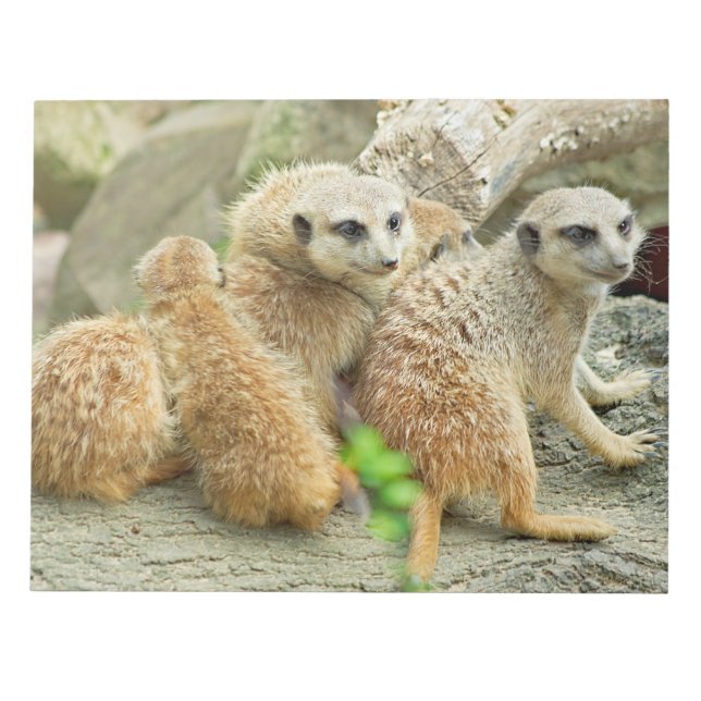 Famille de suricates - Bloc-notes (Devant)