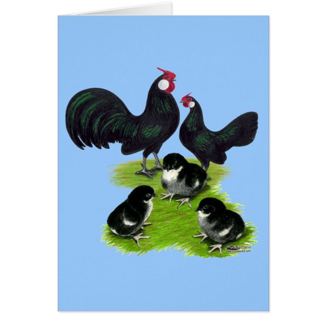 Famille des Rosecomb Black Bantam (Devant)