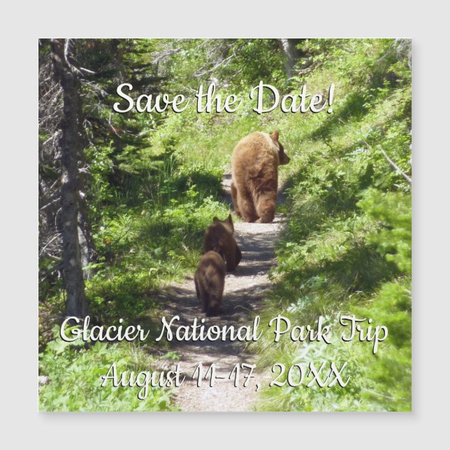 Famille d'ours brun (Devant)
