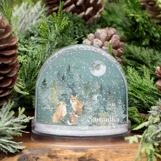 Famille Fox dans la Pleine lune forestière Couleur (Hiver)