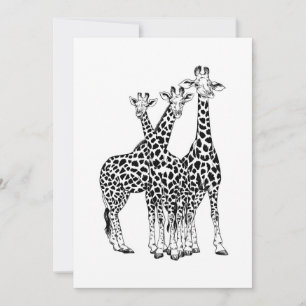 Famille Giraffe