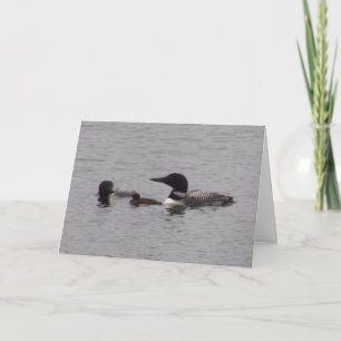 Famille Loon