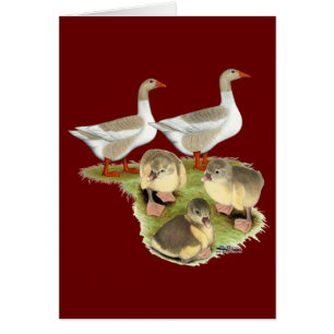 Famille Poméranie Poméranie