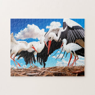 Famille Stork, puzzle
