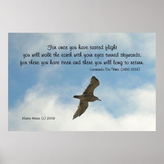 Famous Words: Flight - Seagull - Poster (Devant)