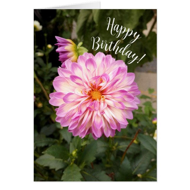 Fancy violet et blanc Dahlia Bonne carte d'anniver (Devant)